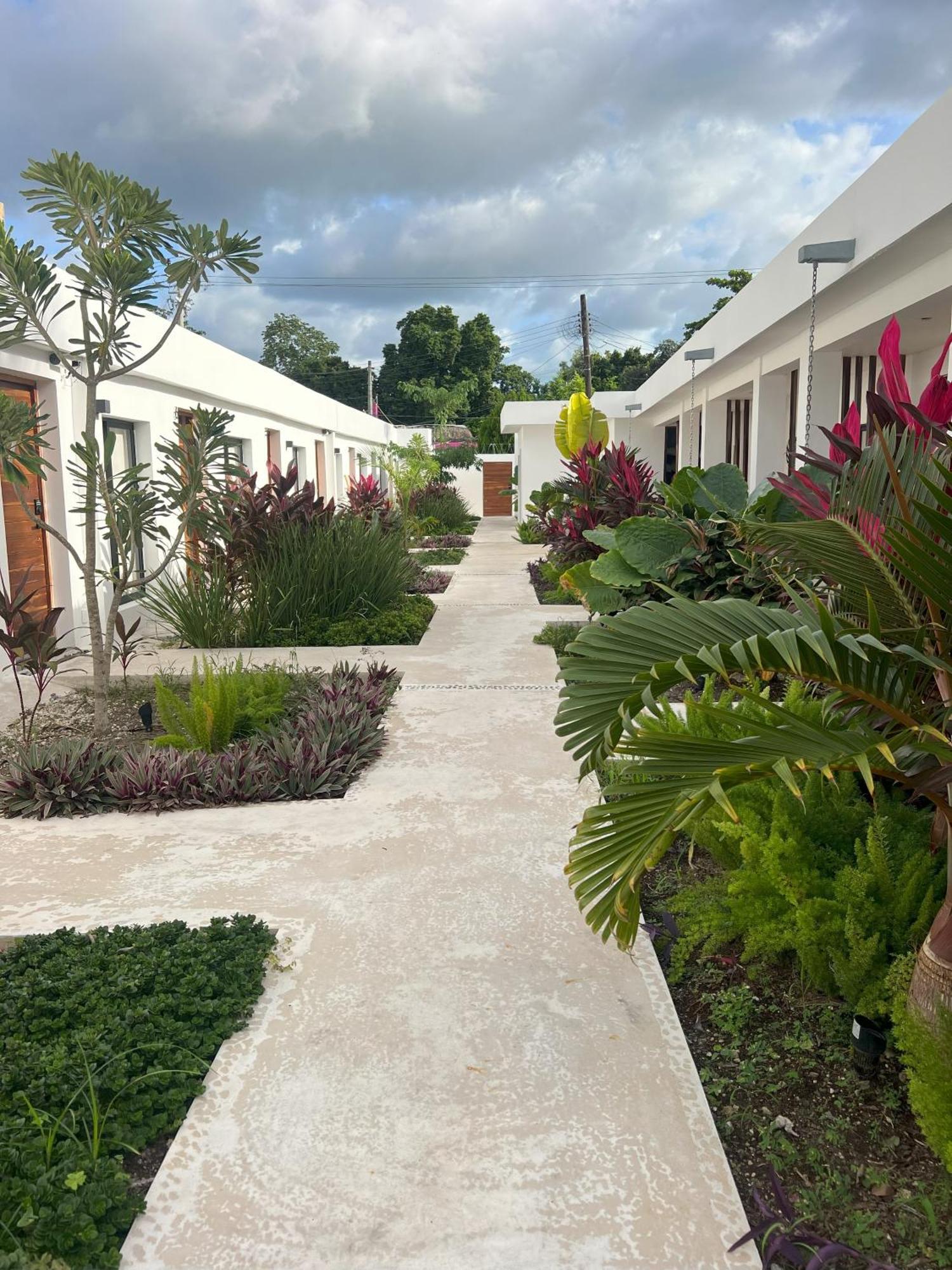 Illa Cozumel Hotel ภายนอก รูปภาพ